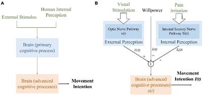 EEG generation mechanism of lower limb active movement intention and its virtual reality induction enhancement: a preliminary study